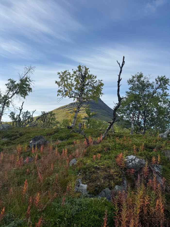 Uitzicht op de Kungsleden