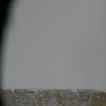 20160421_092940.jpg