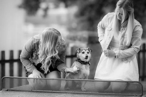 Zwei gut gekleidete Ladies spielen mit ihrem Hund auf einer Ping-Pong-Platte und geniessen ihren freien Tag