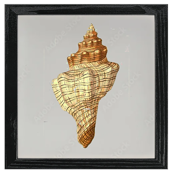Conchology Tile II