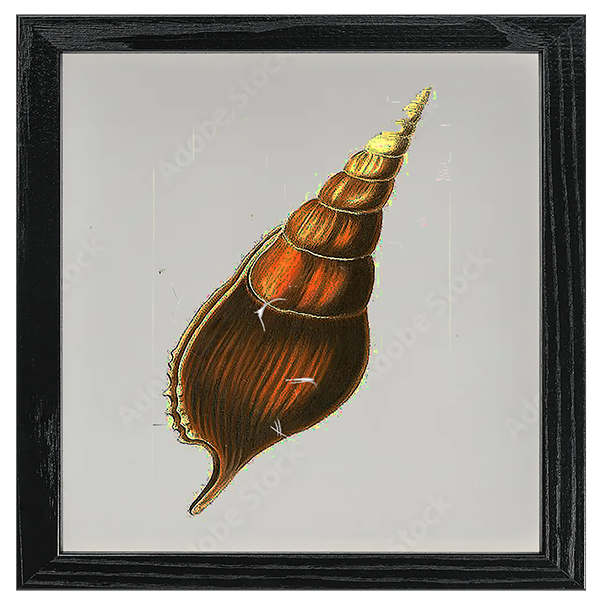 Conchology Tile VII
