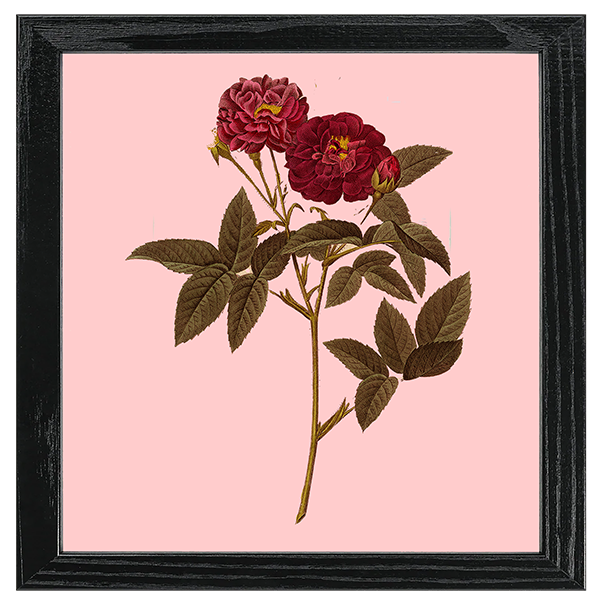 Les Roses Tile IX