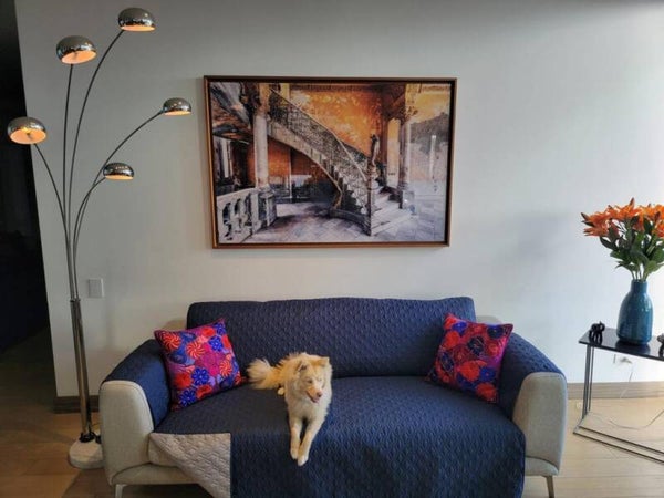 PROTECTOR DE MUEBLE