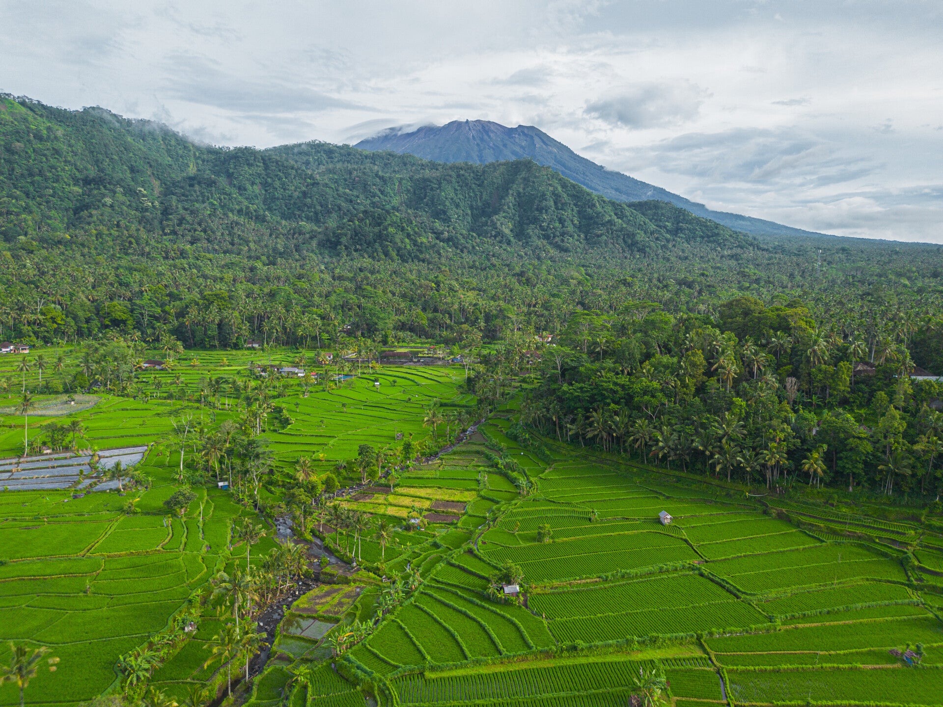 Mont Saint Michel - Woltotravel.com