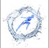 Elementa Sport ASBL