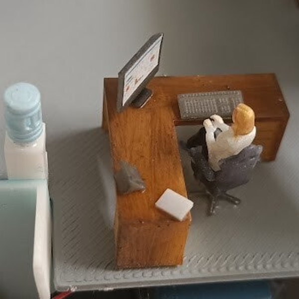 Mobilier de bureau et personnels (28 pieces)