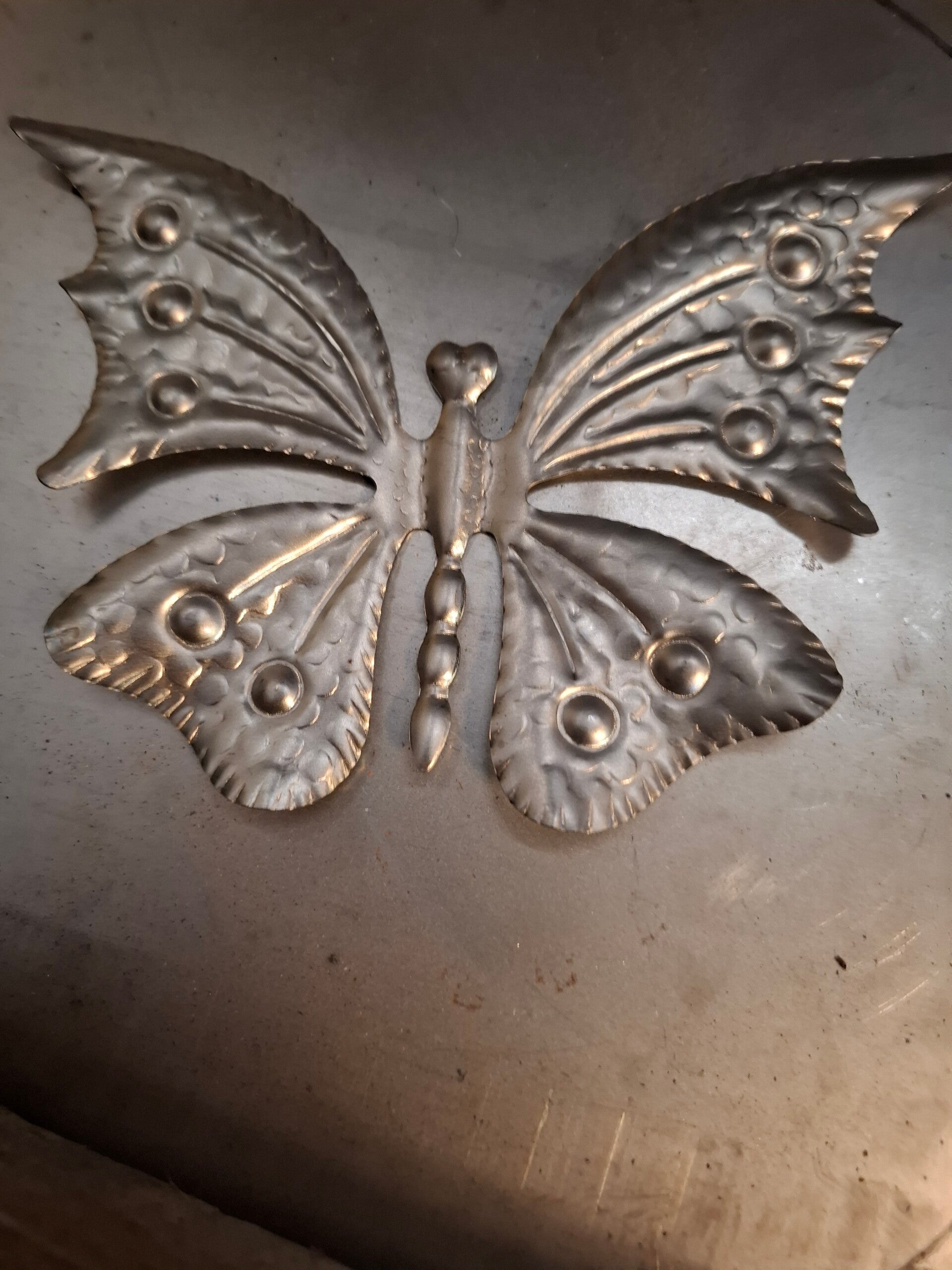 large tin butterfly