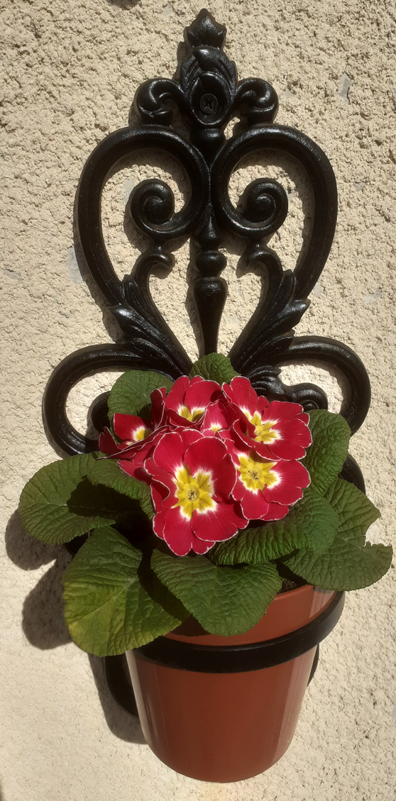 Cast iron Planter