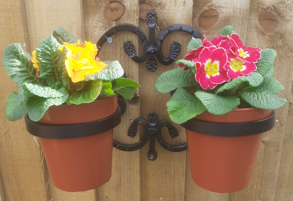 Single Rossette Planter (two pot)