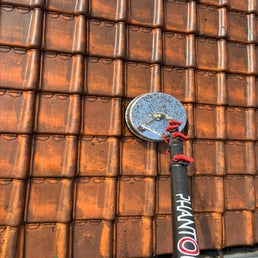 img_6407-standard.jpg