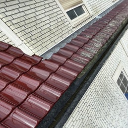 img_6610-standard.jpg
