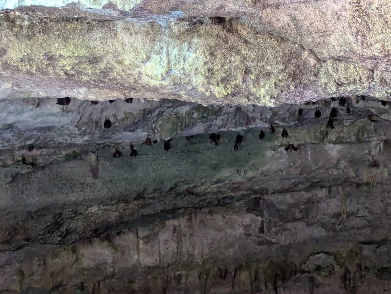 The Bat Cave (Freeport, Bahamas)