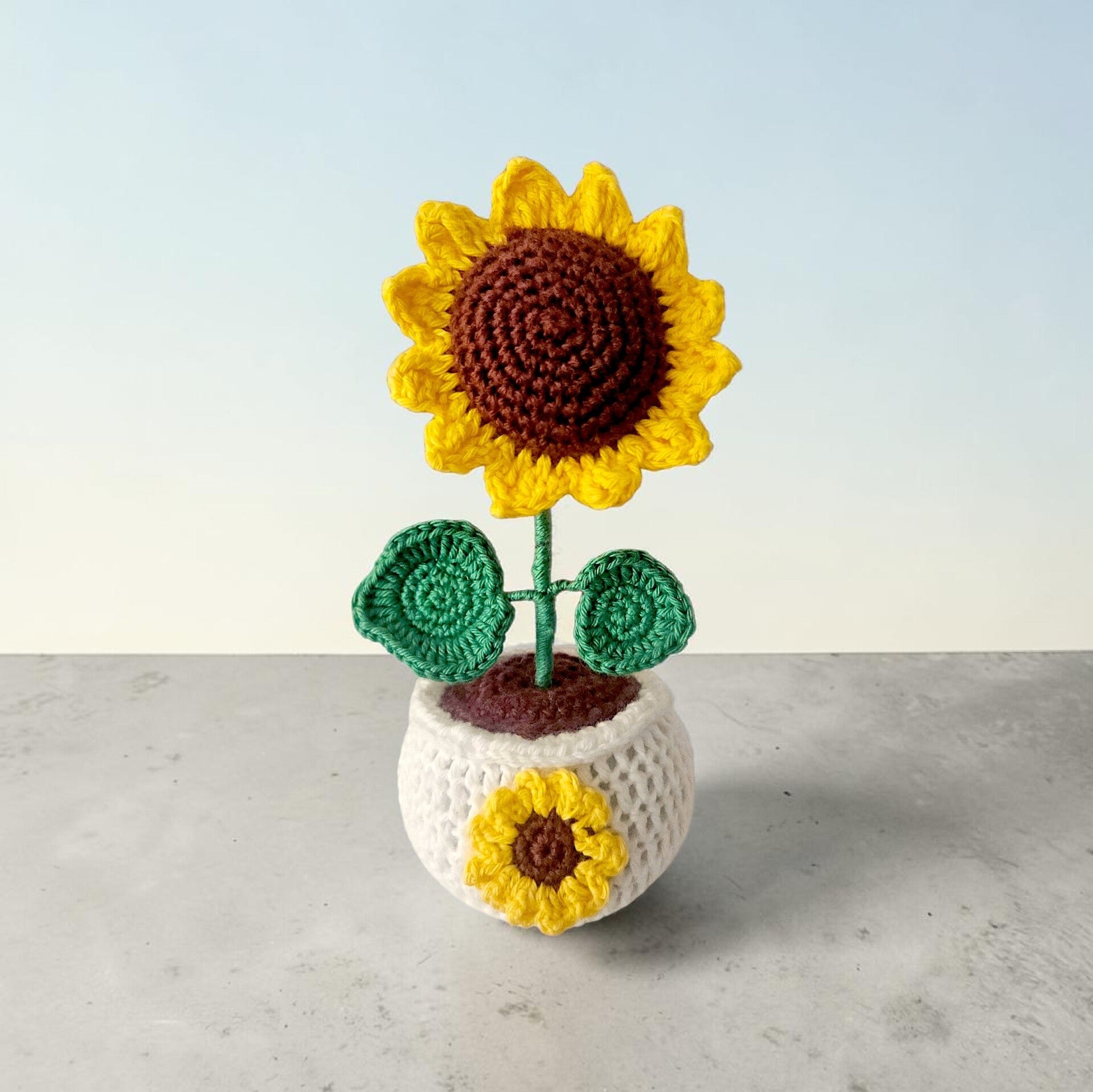 Pot de tournesol