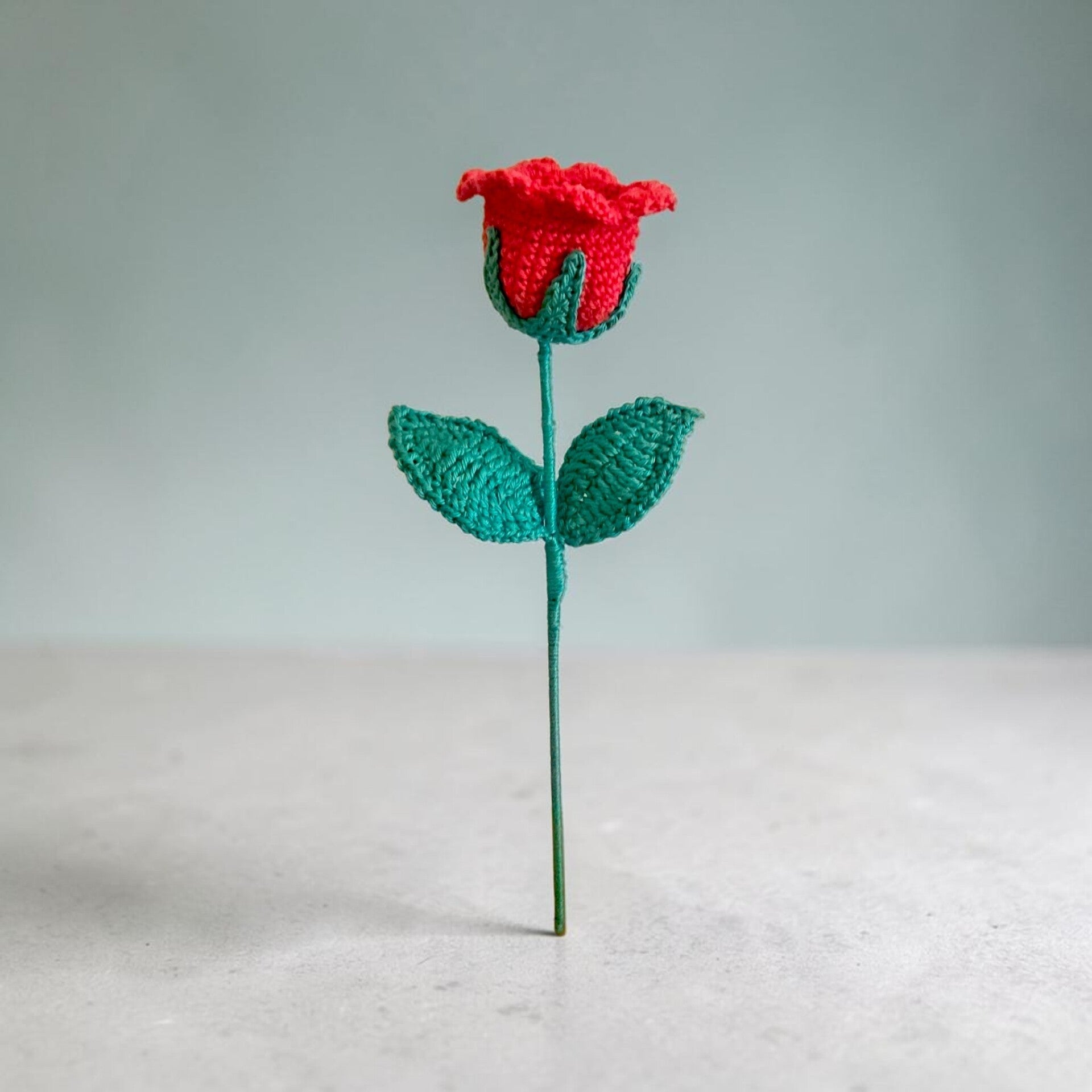 Rose porte-cadeau