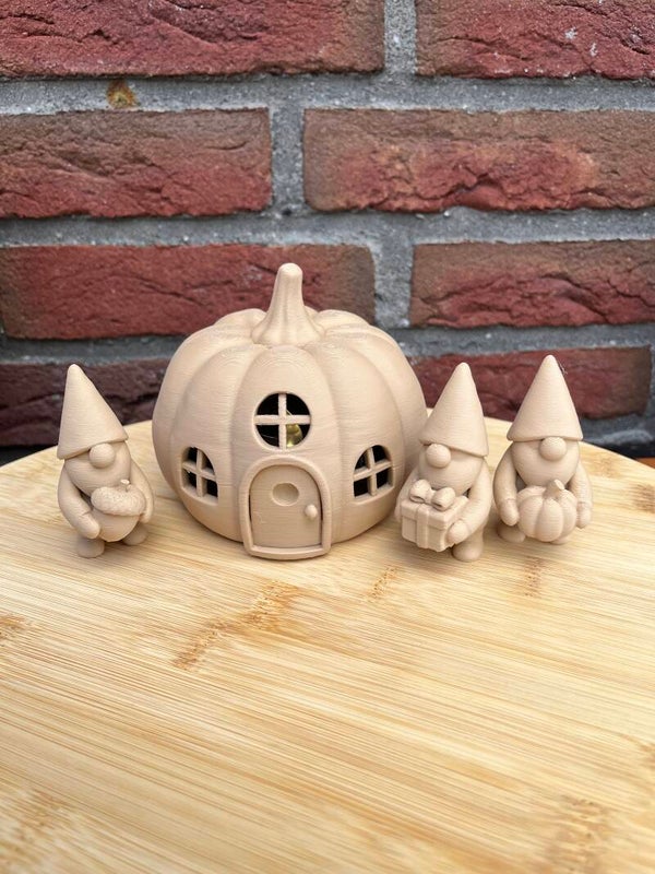 Gnoom setje met pompoen huisje