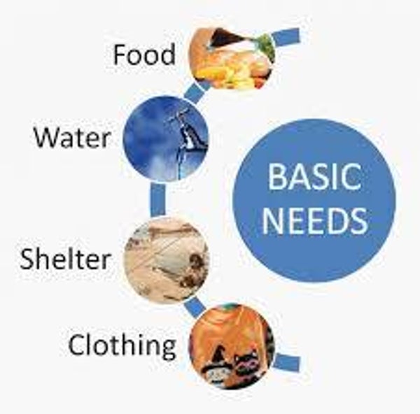 DONATE TO BASIC NEEDS