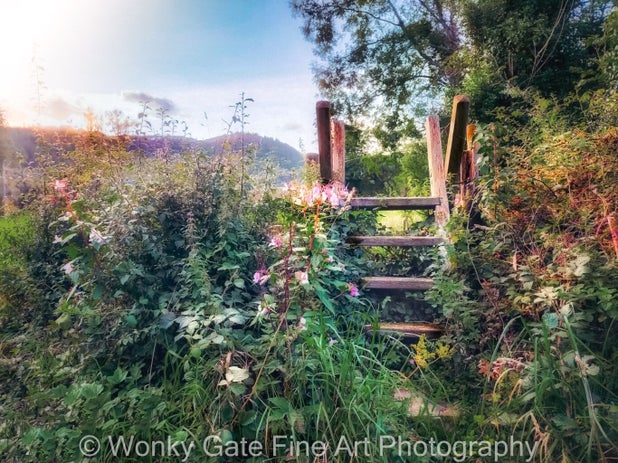 Summer Stile photograph with stile amidst wild flowers, grass and trees with mountains in the background.
