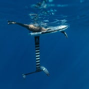 armstrong-pchrisdunn-surffoilboard-6-standard.jpg