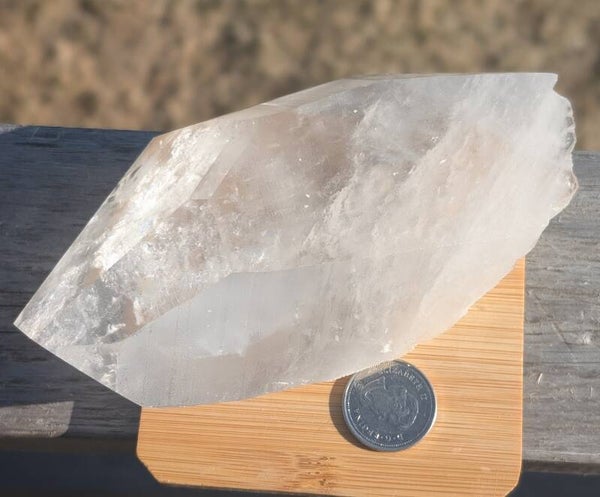 Lemurian point
