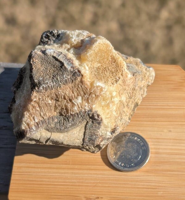 Raw Septarian