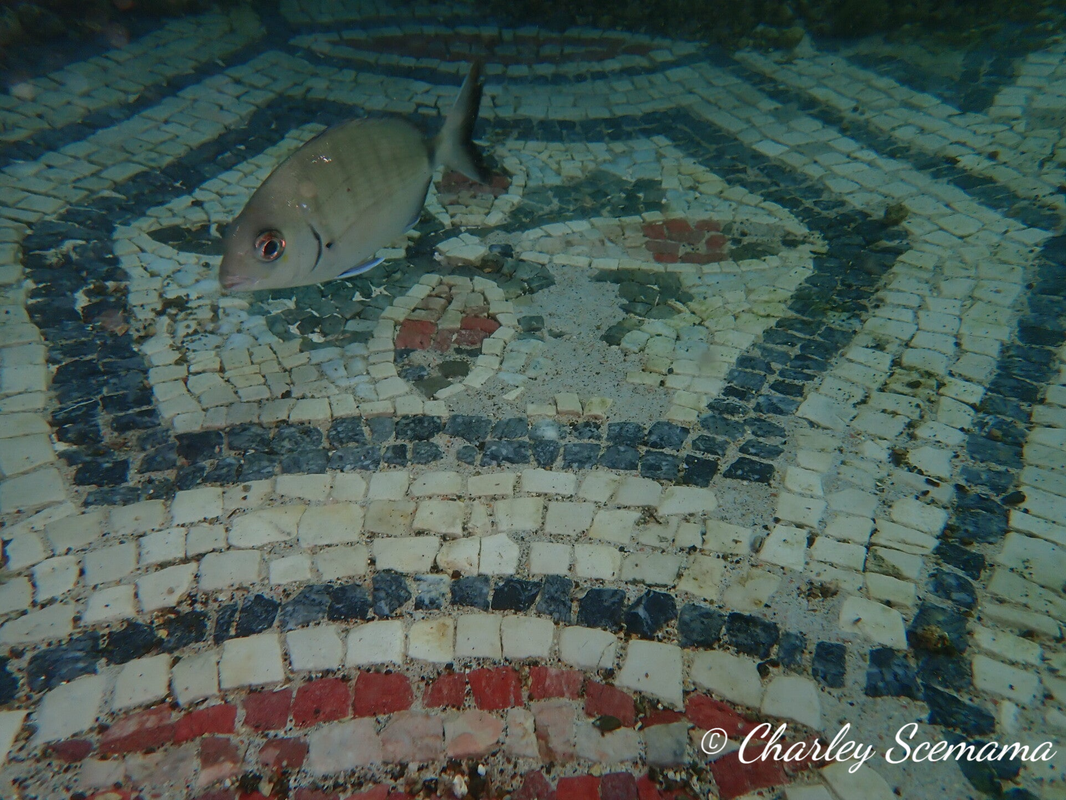 photographie sous marine © Charley Scemama