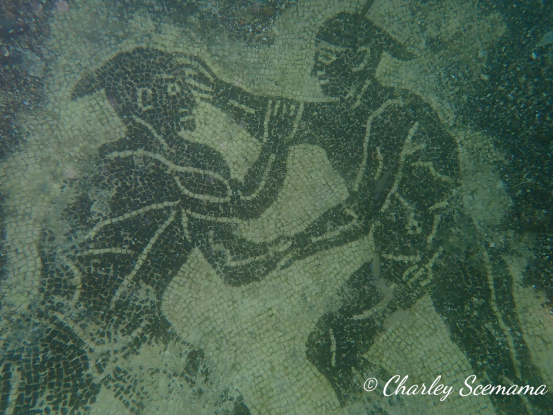 photographie sous marine © Charley Scemama