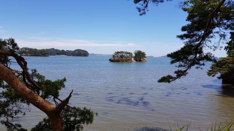 Kieferninseln in japan | www.japan-traumreisen.de