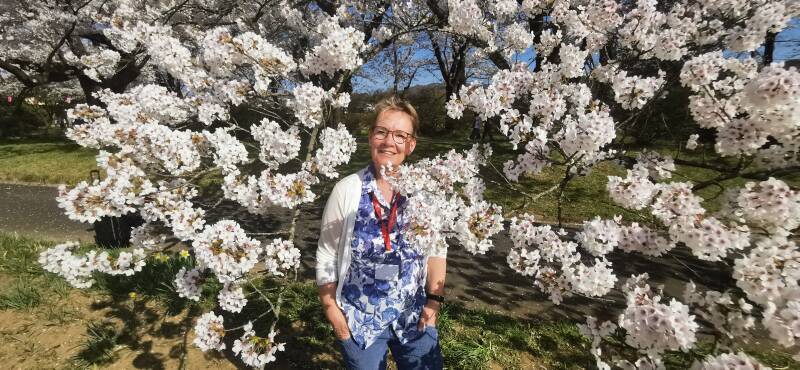Kirschblüte  Mt. Fuji   | www.japan-traumreisen.de