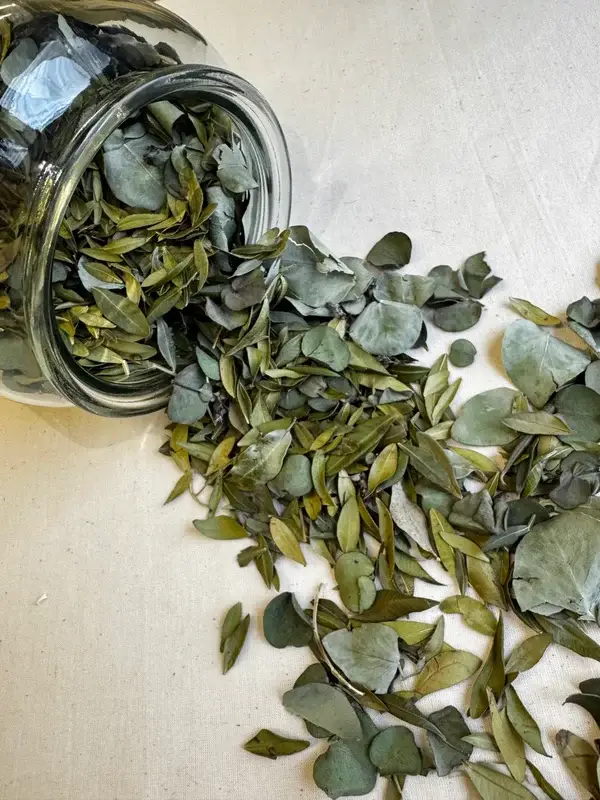 Olive You