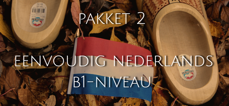 Teksten schrijven in eenvoudig Nederlands niveau B1 is pakket 2 van Nederlands Taalbureau.