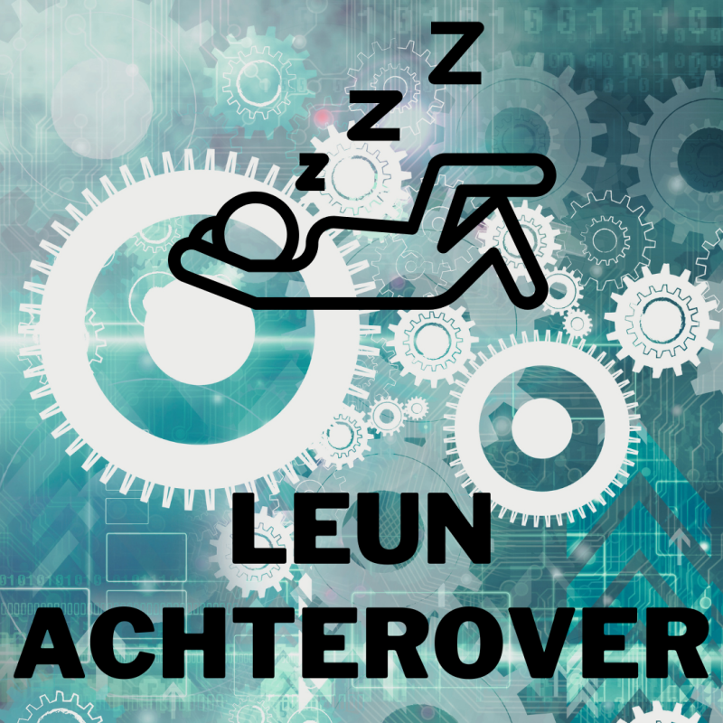 Laat Nederlands Taalbureau uw teksten verbeteren.