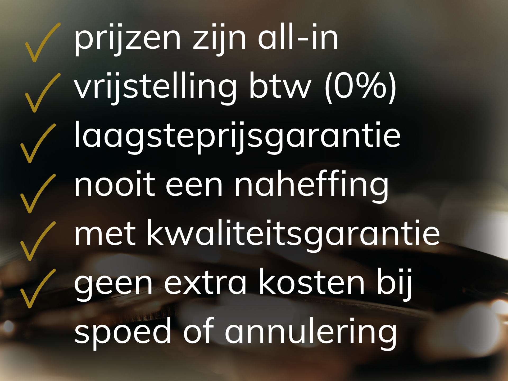 Nederlands Taalbureau is de taaldienstverlener voor ieders budget.