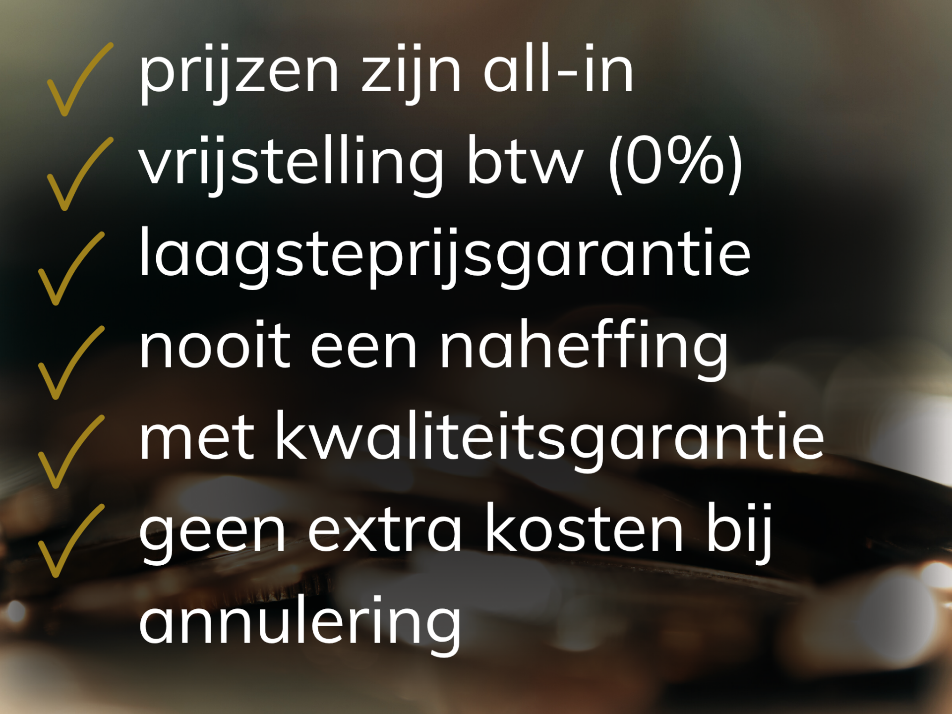 Nederlands Taalbureau is de taaldienstverlener voor ieders budget.