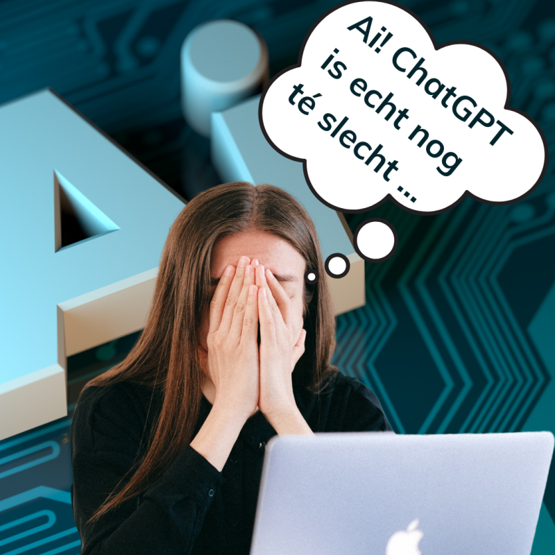 Professionele eindredactie: Nederlands Taalbureau is het beste adres.