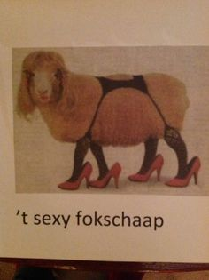 Schaap met tekst 't sexy foksschaap'op pagina 'Hoe gebruik je  kofschip?'