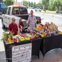 img_0242-standard.jpg