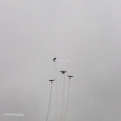 img_0314-standard.jpg