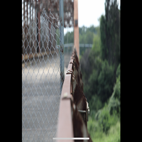 img_5958-standard.png