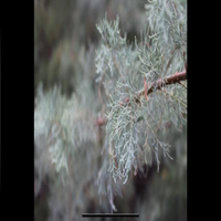 img_5960-standard.png