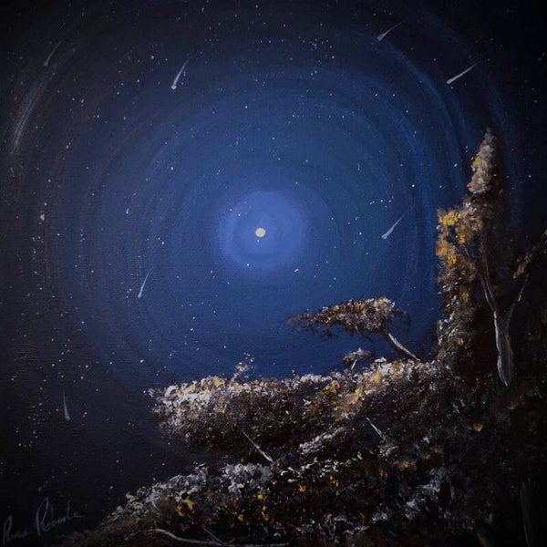 The night of shooting stars