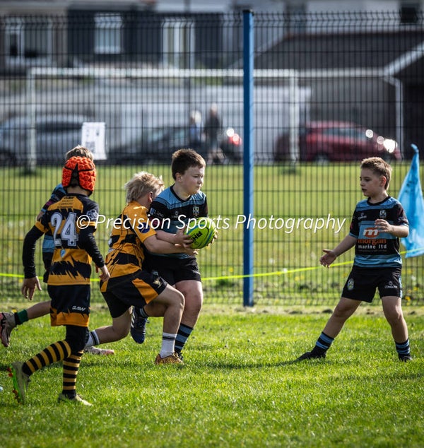 Wildboars Festival 26.4.26