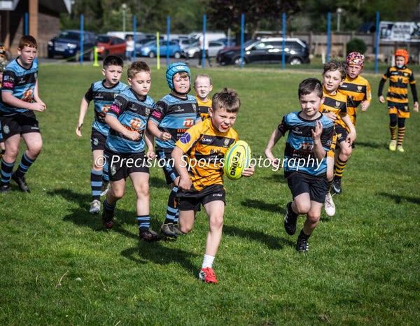 Wildboars Festival 26.4.26