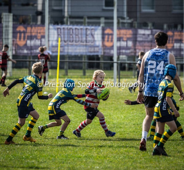 Wildboars Festival 26.4.26