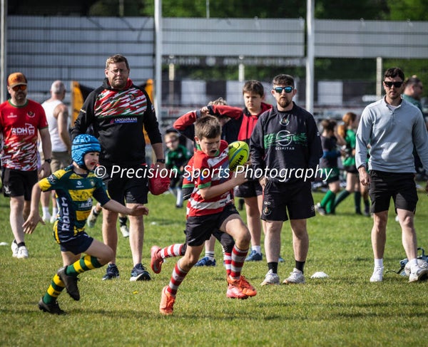 Wildboars Festival 26.4.26