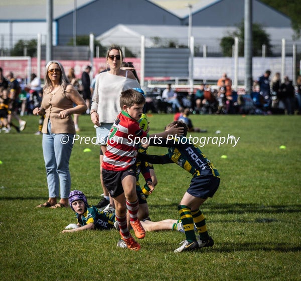 Wildboars Festival 26.4.26