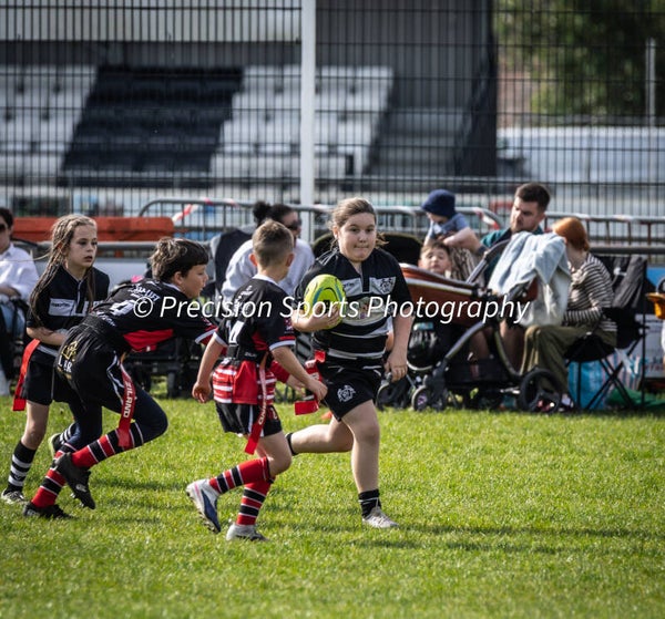 Wildboars Festival 26.4.26