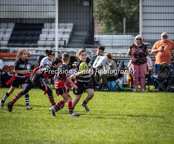 Wildboars Festival 26.4.26