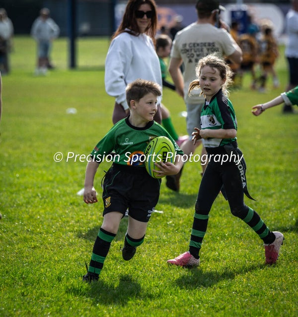 Wildboars Festival 26.4.26
