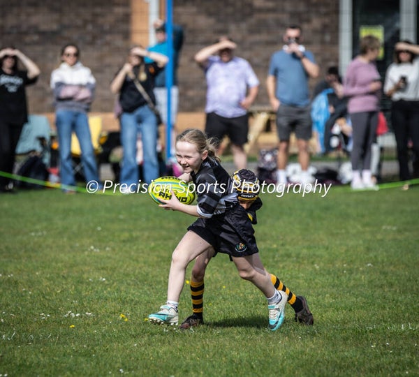 Wildboars Festival 26.4.26
