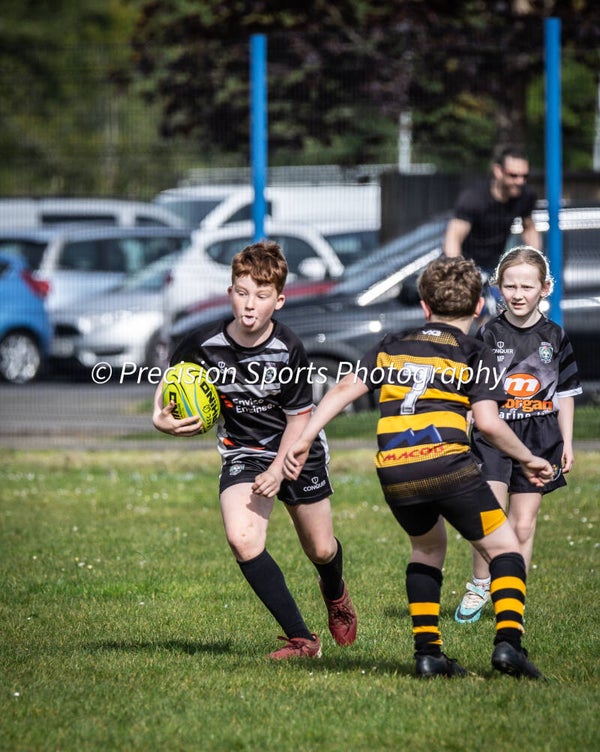 Wildboars Festival 26.4.26